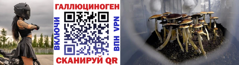 Псилоцибиновые грибы мицелий  Чулым 
